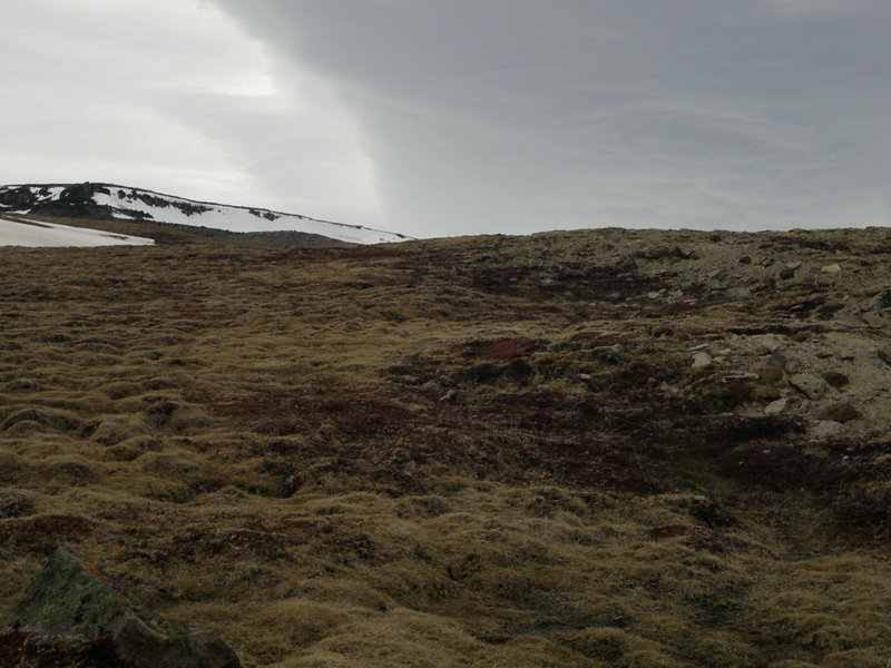 Vista hacia el Norte - View to the North