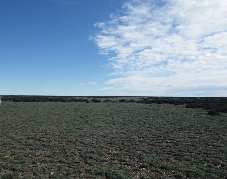 Vista Hacia el Norte - View to the North