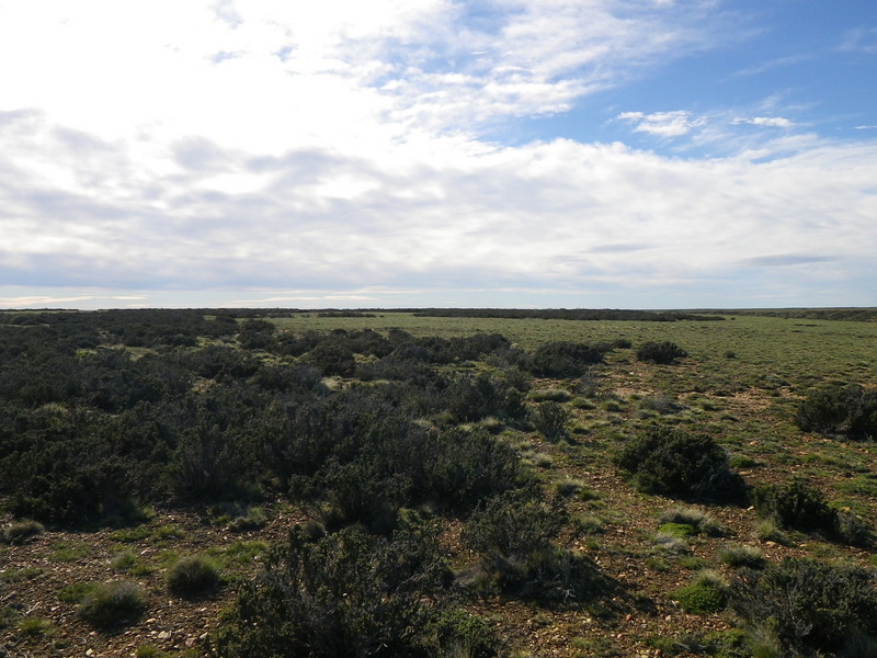 Vista Hacia el Este - View to the East