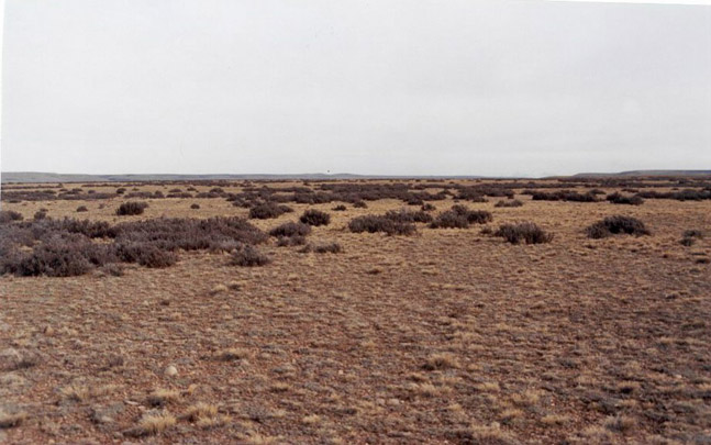 panoramic view of the confluence