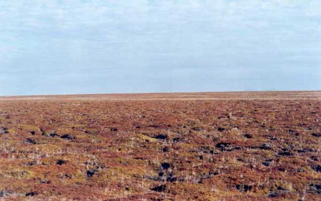 100 meters panoramic view of the confluence