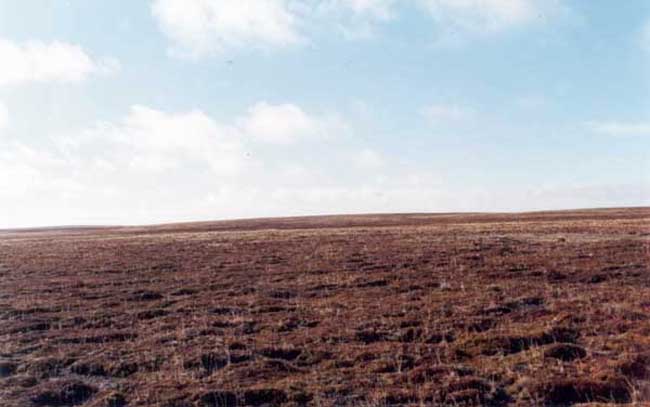 north view from the confluence