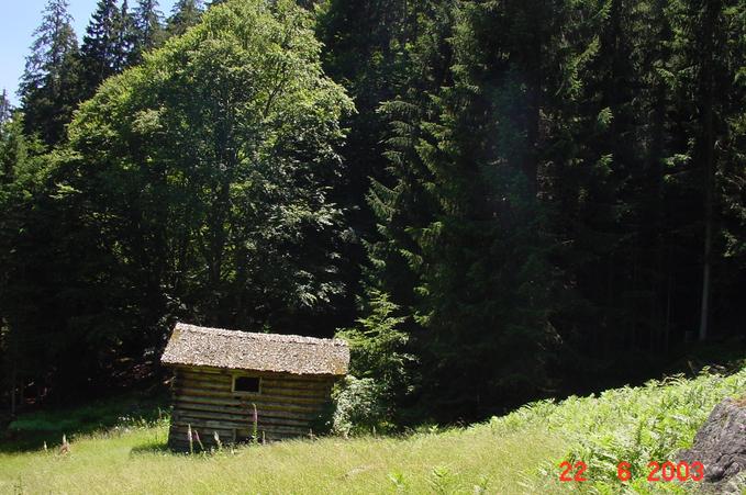 Richtung Süden / Toward the South