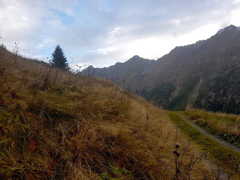 View North - the gravelroad