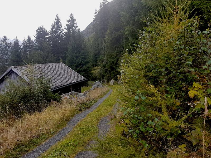 View South - the gravelroad and a little alp