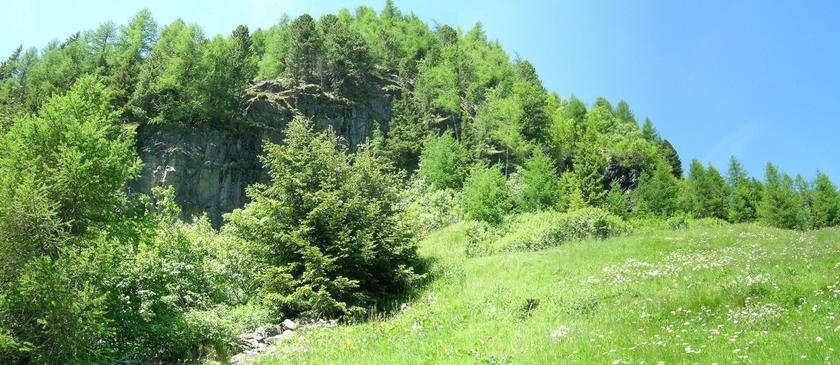 Western view towards “Hohe Geige”