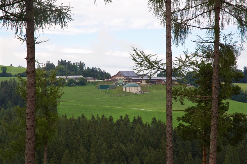 Another close-up view of some of the farms to the north