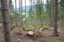 #4: View towards NW from the confluence