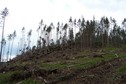 #8: General view of the confluence area (ca. 250 m away)