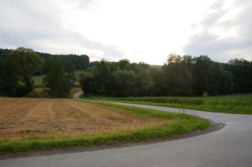 View West (into the late afternoon sun)