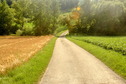 #6: Side Road