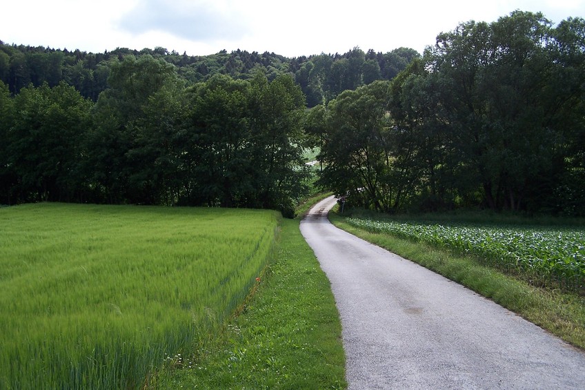 View towards W from the confluence