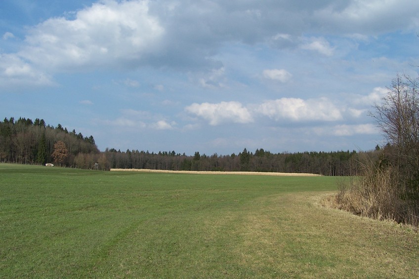 View towards E from the confluence