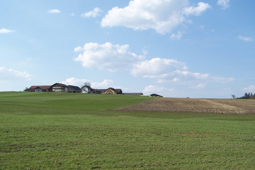 View towards NW from the confluence