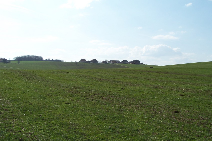 View towards W from the confluence