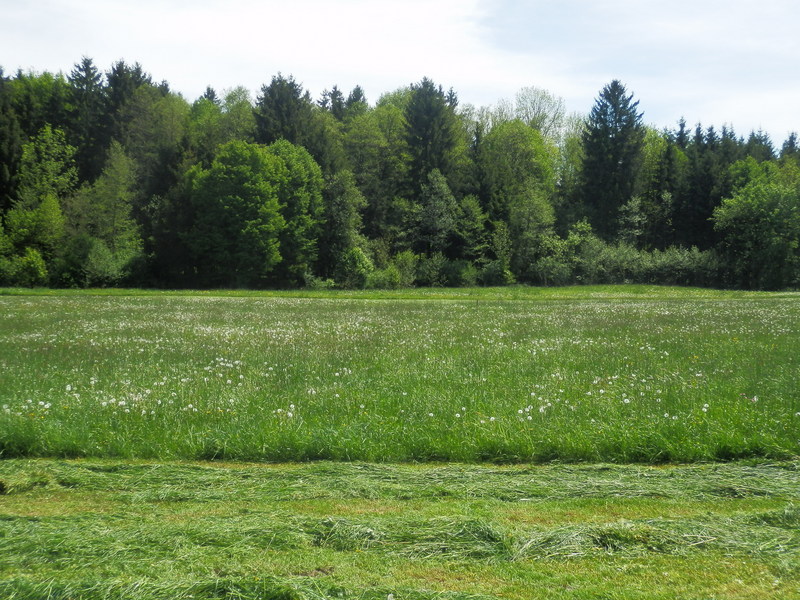 The Confluence from 20 m