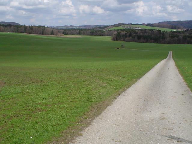 Confluence point is approx 600 m in the centre of the field