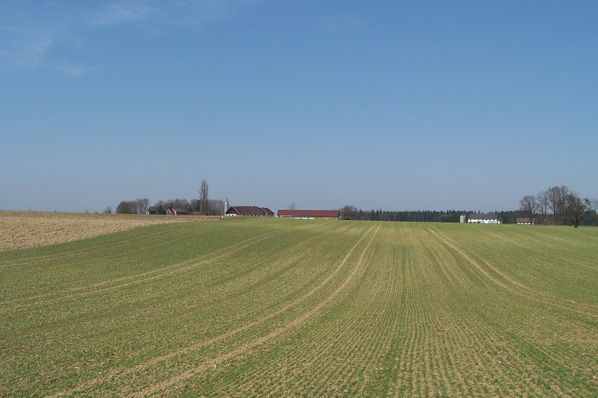 General view of the confluence (towards N)