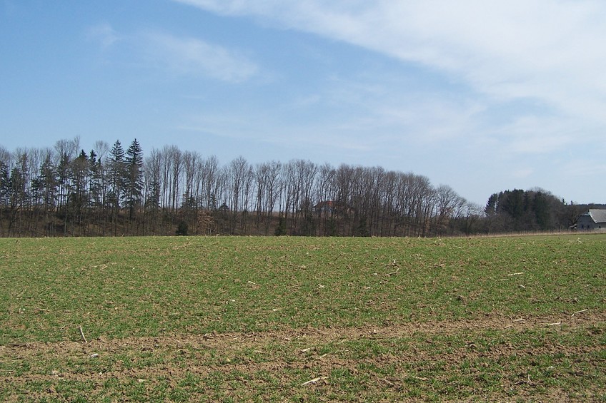 View towards E from the confluence