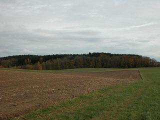 #1: View from the confluence point / Ausblick vom Confluence Punkt