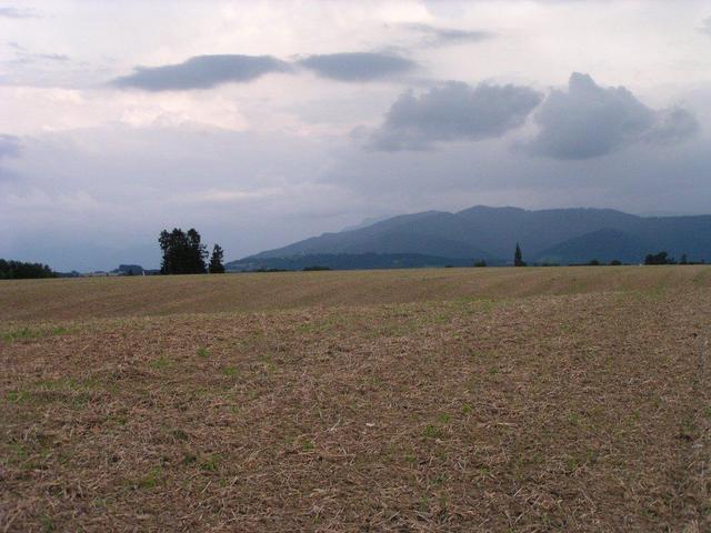 View to the south/ Blick nach Süden