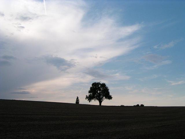 Glance to the north / Blick nach Norden