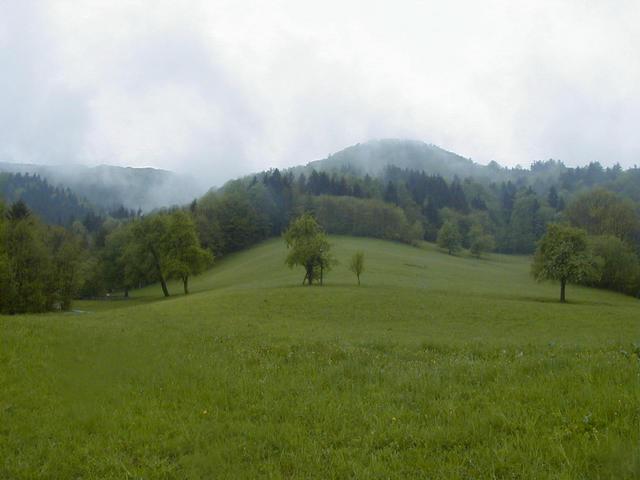 looking from the real confluence to the monument (small white point near the wood on the left side)