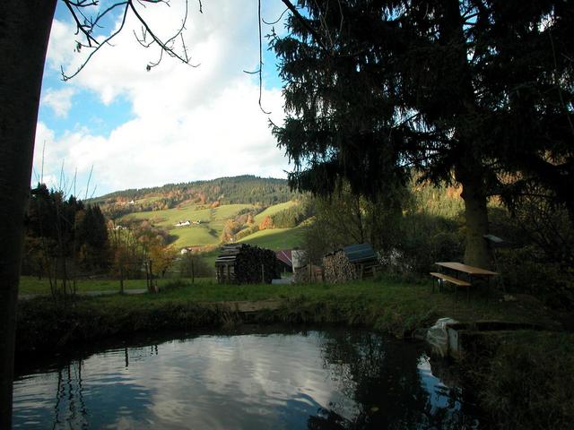 View from the confluence to the north / Blick vom Confluence Punkt nach Norden