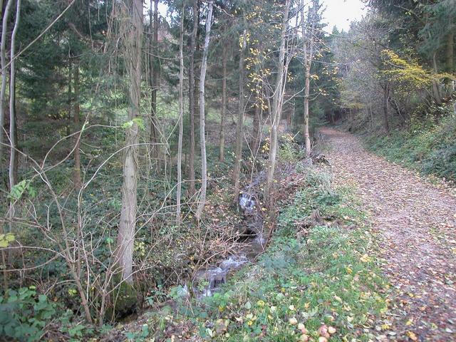 View from the confluence to the west / Blick vom Confluence Punkt nach Westen