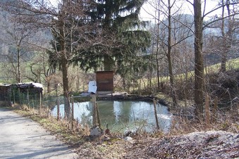 #1: General view of the confluence (towards E)