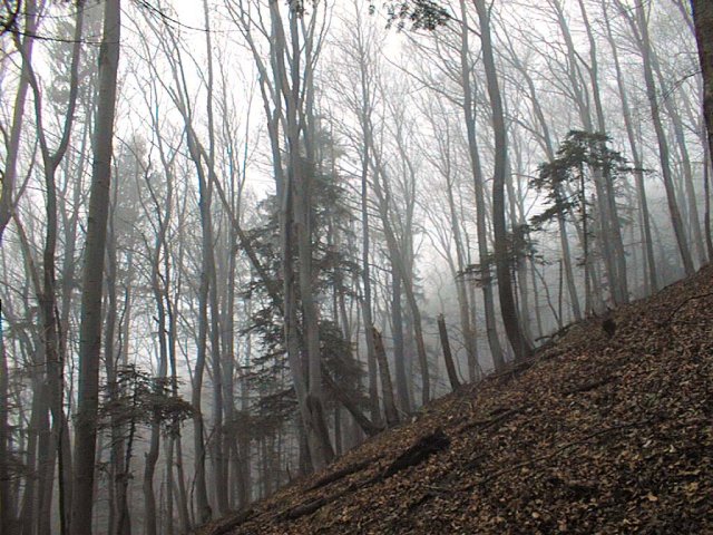 This picture shows the steepness of the terrain