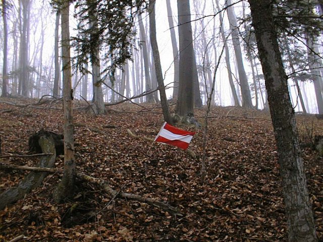 The confluence with austrian flag