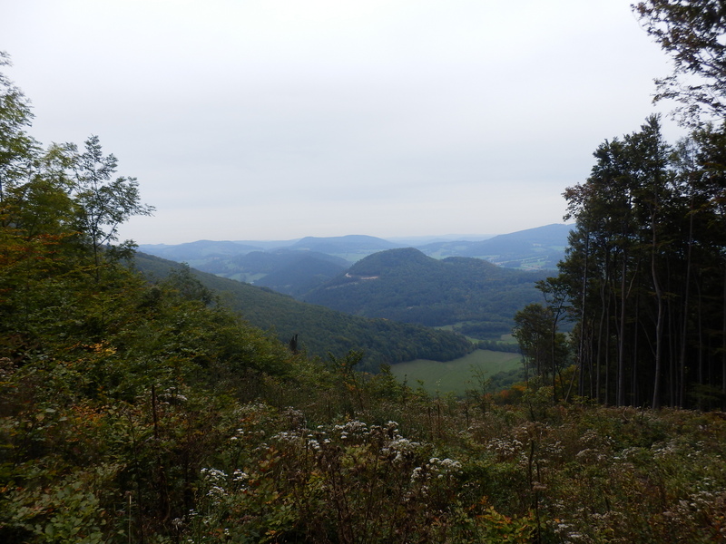 View into the Triesting Valley