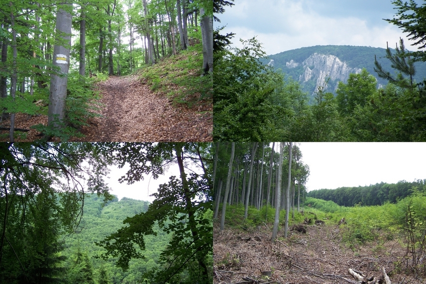 Yellow marked trail and views from the route