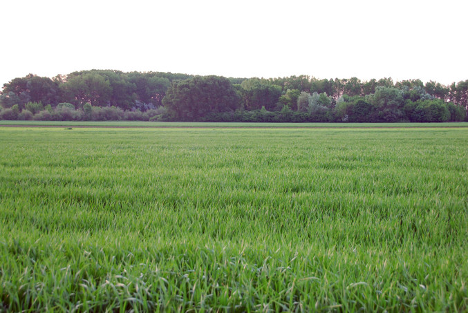 Looking South to the CP just under 55m away.