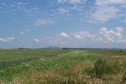 #8: Wind turbines and hills on the horizon