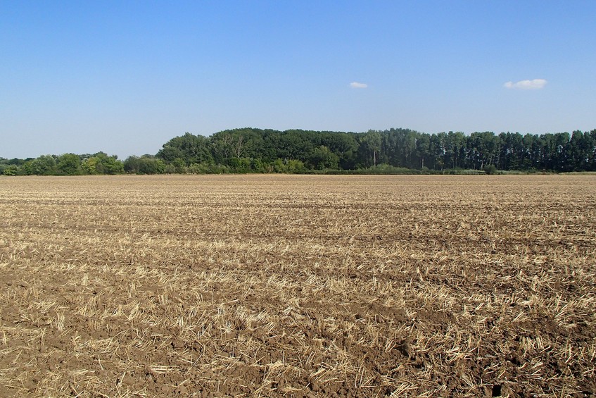 General view (very similar to eastern view) / Общий вид (очень близок к восточному)