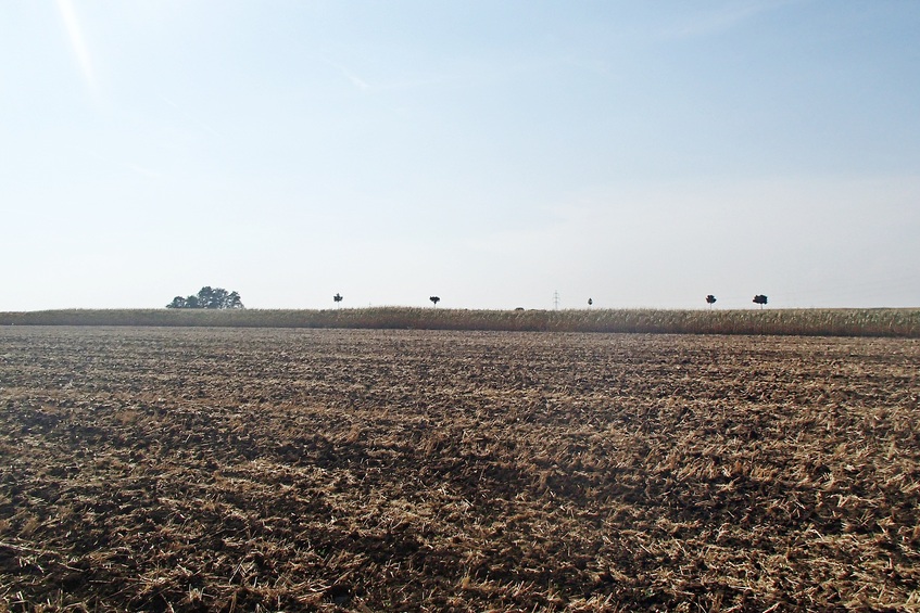 View to the west / Вид на запад