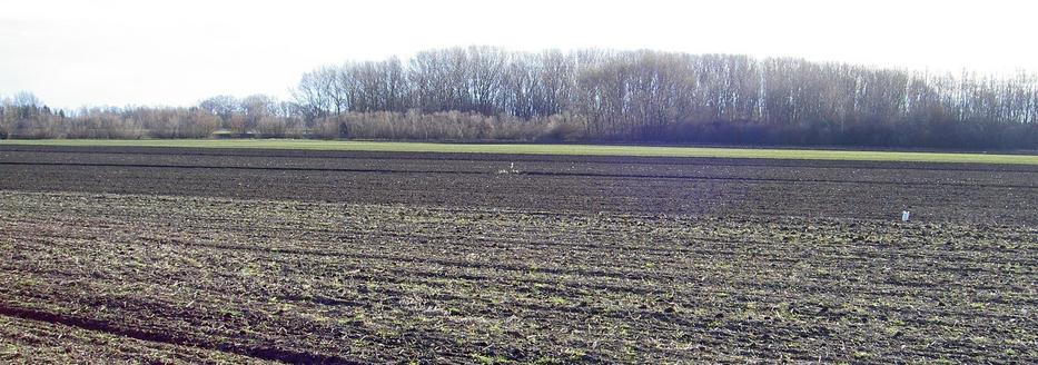 About 30m from the confluence point