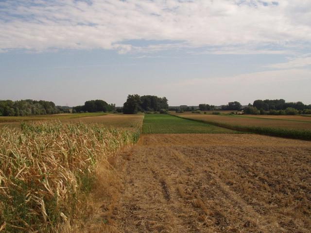 Overview from road.