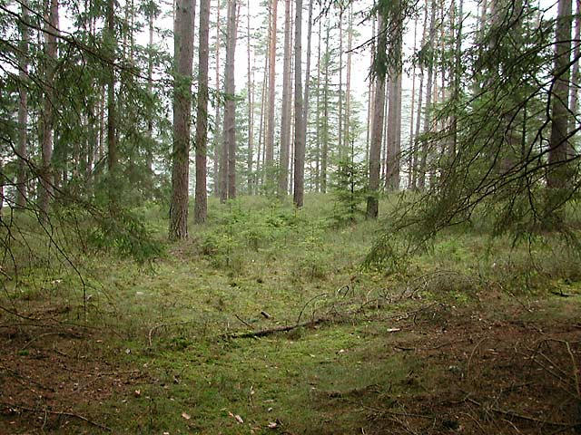 Looking west to the Czech Republic