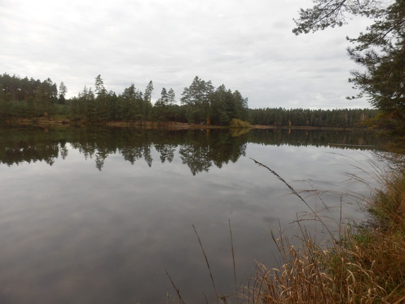 Stankauer Teich (Staňkovský rybník)