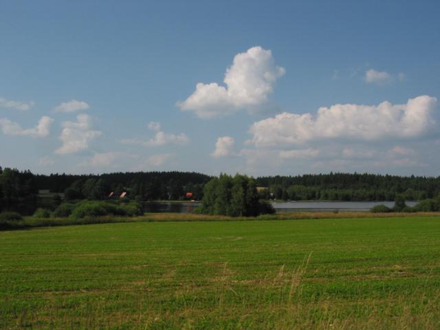 Another distance view of a clearing area