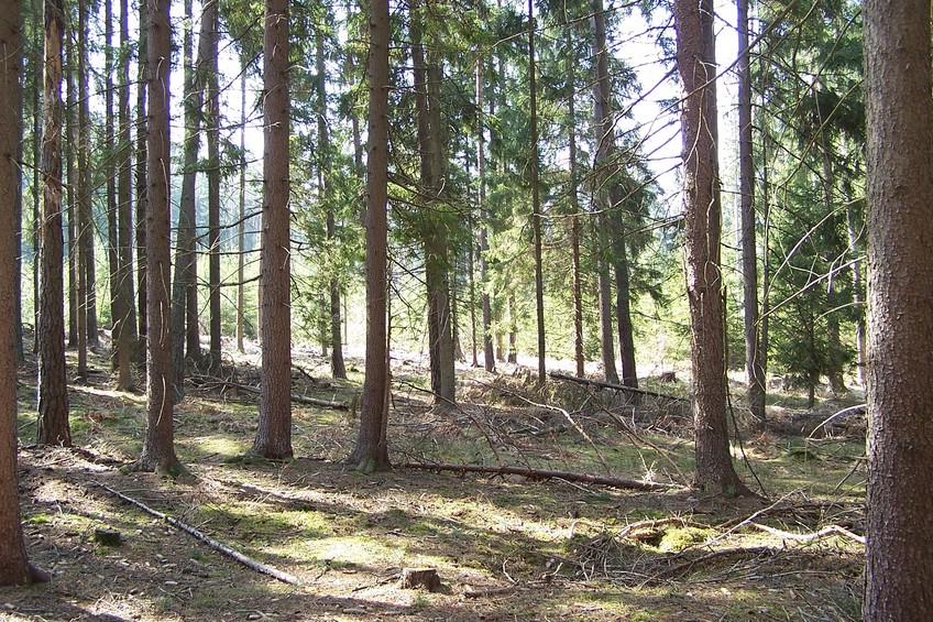 View towards SW from the confluence