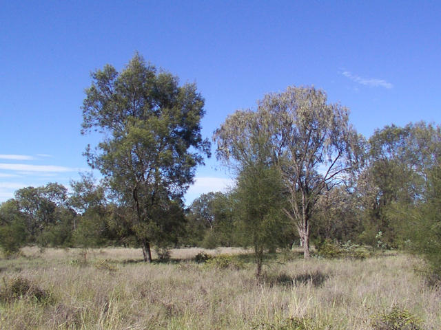 View from the confluence