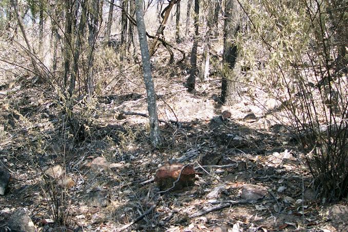 Typical terrain during the final trek