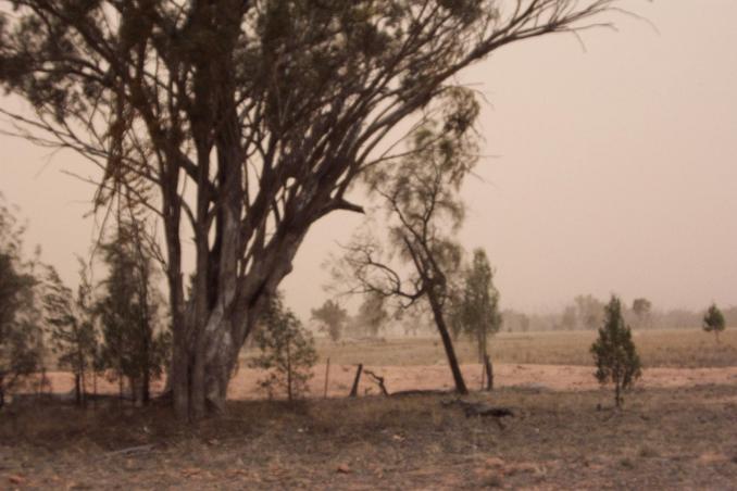 Our hill now obscured by the dust storm