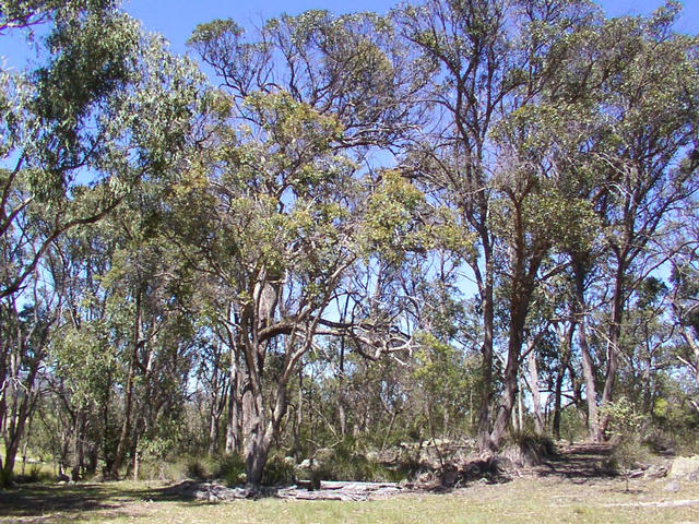 View from the confluence