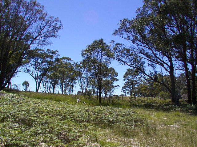 View from the confluence