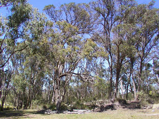 #1: View from the confluence